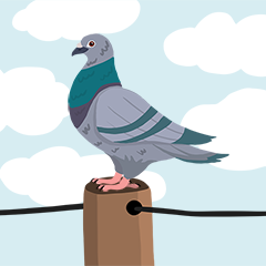 Icon for The Pigeon P