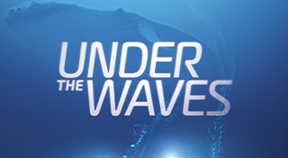 Under The Waves