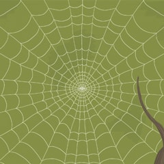 Icon for Male spiders like to give presents