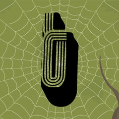 Icon for Spider silk is liquid