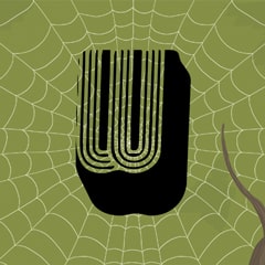 Icon for A group of spiders is called a “clutter” or a “cluster”