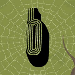 Icon for All types of spiders have 8 legs