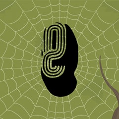 Icon for Spiders can go fishing