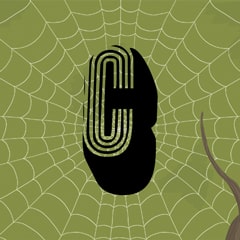 Icon for Spiders can see UVA and UVB light