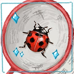Icon for My Fair Ladybug