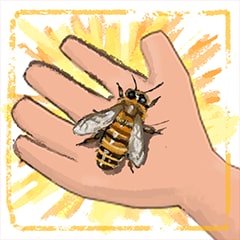 Icon for Bee Professor