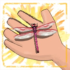 Icon for Dragonfly Whiz