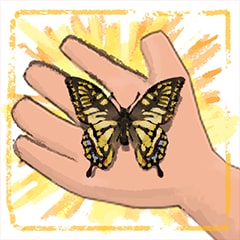 Icon for Butterfly Maestro