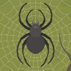 Icon for The Spidy D