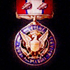 Icon for Distinguished Service Medal with two Oak Leaf Clusters