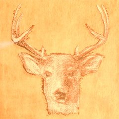 Icon for Deer