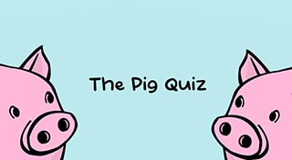 Image for The Pig Quiz