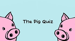 The Pig Quiz