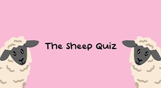 The Sheep Quiz