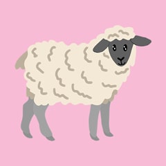 Icon for The Sheep Quiz