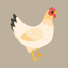 Icon for The Chicken Quiz
