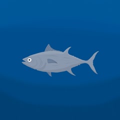 Icon for Here comes the fish!
