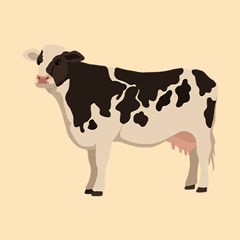 Icon for The Cow Quiz