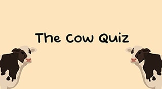 The Cow Quiz