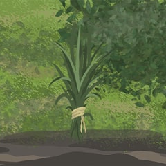 Icon for Here comes the grass!