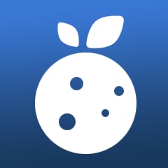 Icon for Sweet fruit
