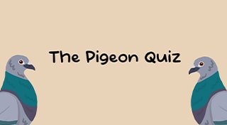 The Pigeon Quiz