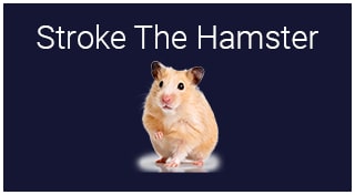 Image for Stroke The Hamster