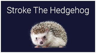 Stroke The Hedgehog