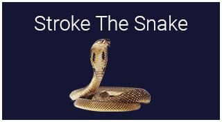 Stroke The Snake