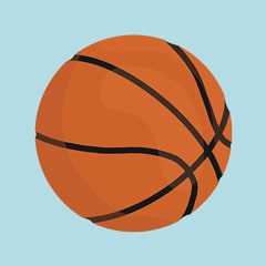 Icon for The Basketball Quiz