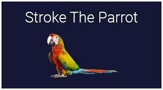 Stroke The Parrot