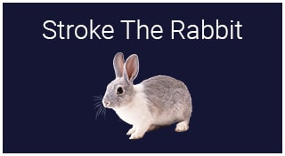 Stroke The Rabbit