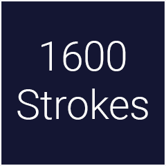 Icon for 1600 Strokes