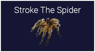 Stroke The Spider