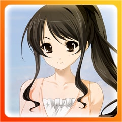 Icon for RIN Stage III
