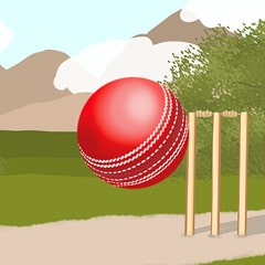 Icon for The Cricket C