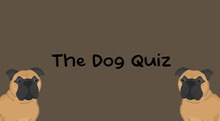 The Dog Quiz