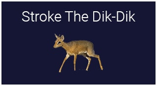 Stroke The Dik-Dik