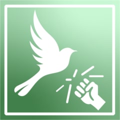 Icon for Bird hunter