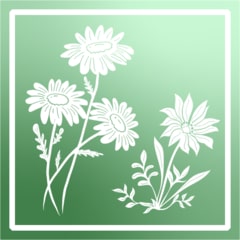 Icon for Flower diversity