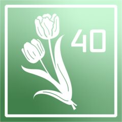 Icon for Tulip enthusiast