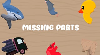 Missing Parts