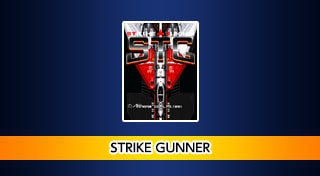 Arcade Archives STRIKE GUNNER