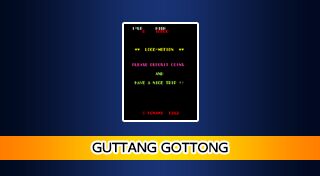 Arcade Archives GUTTANG GOTTONG