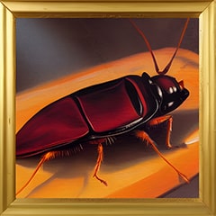 Icon for Cockroach
