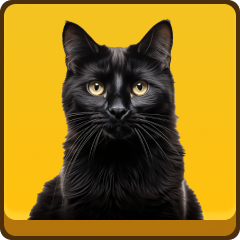 Icon for Black Cat Master
