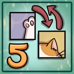 Icon for Doctor Cat's Resolutions
