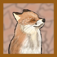 Icon for You Are a Fox
