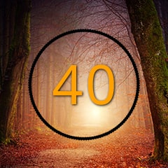 Icon for The 40