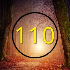Icon for The 110